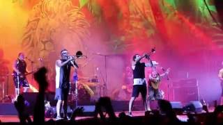 Manu Chao - Les rues de l&#39;Hiver/Pinocchio (Live at Rototom Sunsplash 2016)