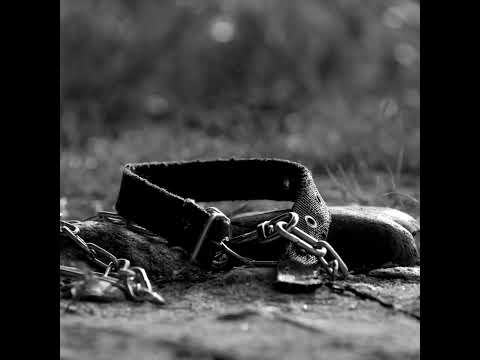 BIFAN2025 | 미트 Meat Trailer