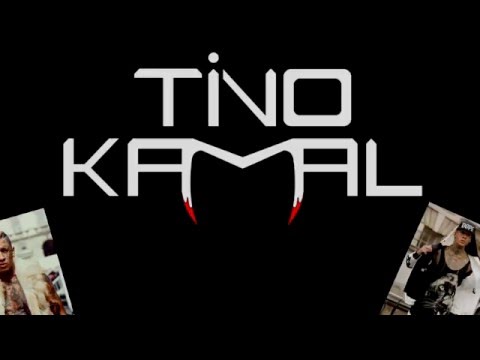 Tino Kamal: SwaggaBot - Show an Tell Tiger Print Jordans