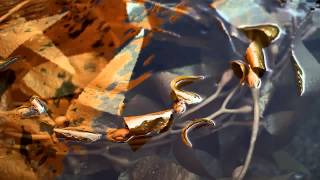 Shlohmo - "Same Time" ( VIDEO )