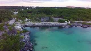 Ribcage Takes Flight in Mexico