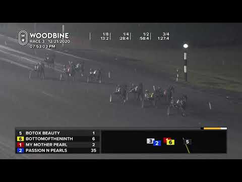 Woodbine, Mohawk Park, December 21, 2020 Race 3