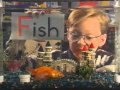 F Is For Fish