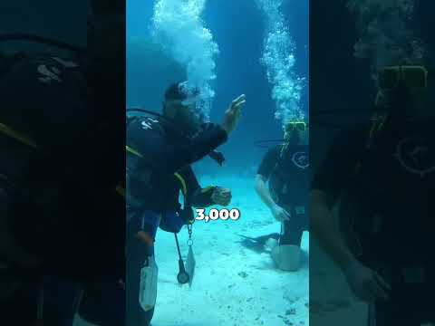 This is why scuba diving is so dangerous!