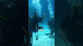 This is why scuba diving is so dangerous!