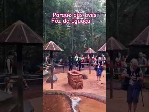 PARQUE DAS AVES em #fozdoiguaçu Paraná sul do Brasil