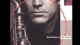 moniCa jane - David Sanborn.mov