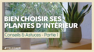 Les plantes d'intérieur faciles