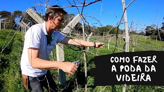 Miniatura do vídeo