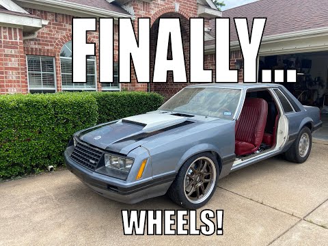 EgoBuise's Real Wheel Reveal - ESR APEX AP8 BRONZE - Episode 38