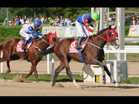 2015 Korean Derby - Yeongcheon Ace (KOR)