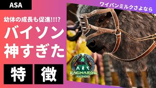 【ラグナロク新生物バイソン】ミルクは食料回復とバフだけじゃなかった！有能すぎて可愛すぎたバイソンの特徴をだべる【公式PvE/ASA】ARK/Bison & Wyvern RAGNAROK