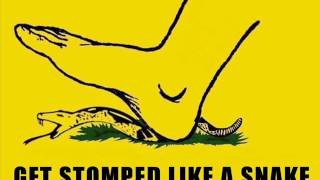 The Mountain Goats - Star Dusting (Live)