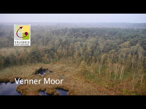 Das Venner Moor