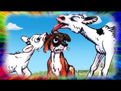 Шишки (ПЛЯЦКОВСКИЙ М. С.) Сказка/слушать/смотреть мультфильм/