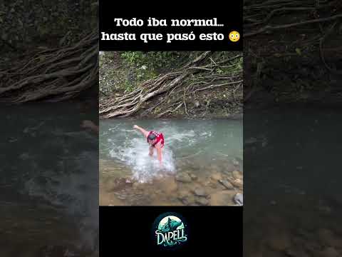 Nunca pensó que acabaría así 😳 #animales #peligro