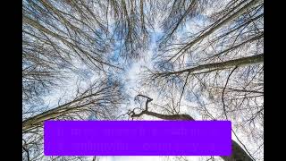 Download lagu Kau tetap di hati - Thomas Arya feat yelse (karaoke) mp3 Download lagu Kau tetap di hati - Thomas Arya feat yelse (karaoke) mp3