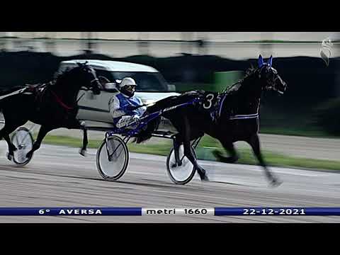 Aversa trotto 22 Dicembre 2021 - 6° Corsa
