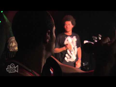 True Vibenation - Running (Live in Sydney) | Moshcam