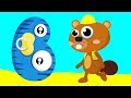 BEAVER Learn The Alphabet Animals Letter B