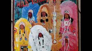 The Wild Tchoupitoulas -Hey Hey (Indians Comin&#39;)