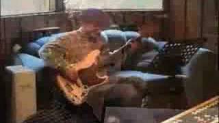 Al Jardine - Help Me Rhonda