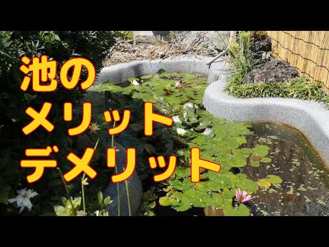 bassin-jardin-fontaine-pelouse-pas-japonais