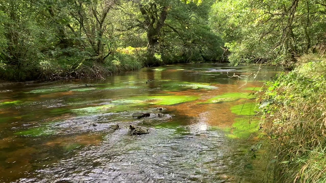 Cannes Du Limousin, Une sortie pêche à la mouche.