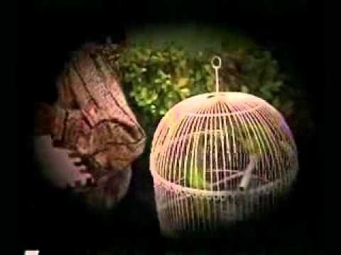 LA QUIERO MAS- LOS OCHO DE COLOMBIA.wmv