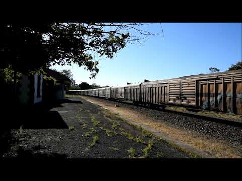 SCT Logistics  4AM9 SCT006 SCT003 SCT009 Nairne 29th December 2021