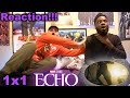 Echo 1x1 Reaction | CHAFA
