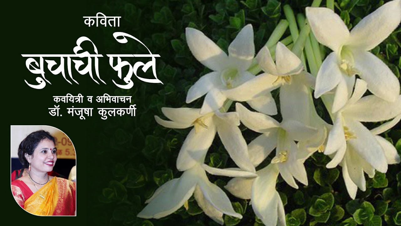 कविता - बुचाची फुले | Popular Marathi Poem | Dr. Manjusha Kulkarni | Manjumanjiri | Marathi Kavita
