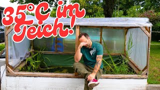 FISCHE tot? Mein TEICH kocht !