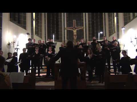 Johann Michael Bach, Halt was du hast - göttinger vokalensemble (GVE)