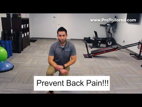 Best Core Exercises For Preventing Low Back Pain!!!