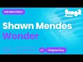 Shawn Mendes - Wonder (Karaoke Piano)