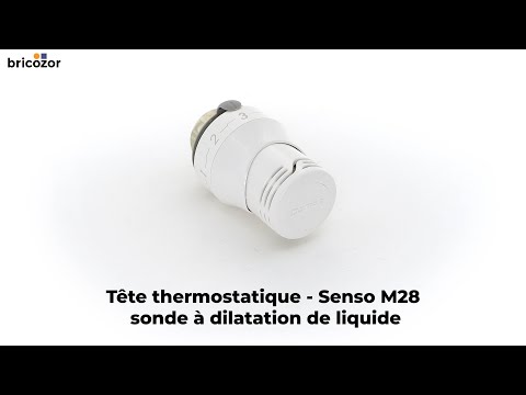 Tête thermostatique - sonde à dilatation de liquide - Senso COMAP
