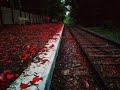 Melattur Railway Station Nilambur Shoranur Line Malappuram Kerala During Covid 19 Lockdown