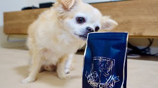 【FIRST CREW】愛犬のために、最高級のおやつを買ってみた！