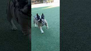 久しぶり♪