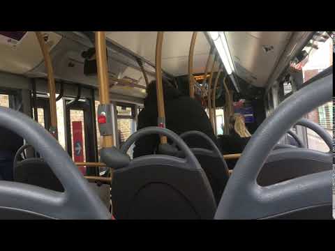 [RARE+IBUS] 394 to Homerton Hospital - 1243 YY66PYJ