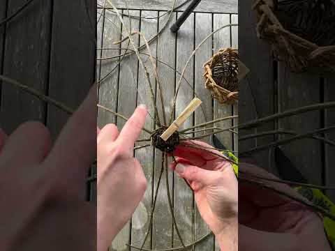 How to make a bramble basket at Forest School - soaking method