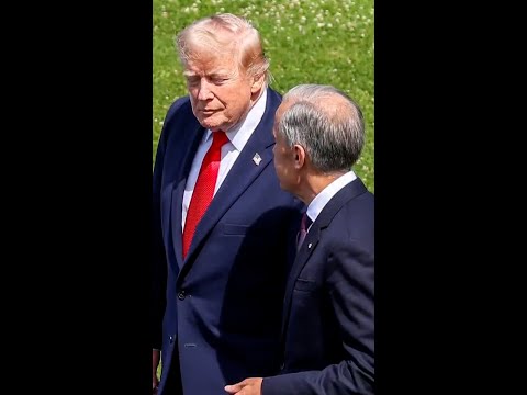 Trump pauses 50% tariffs on Canadian goods