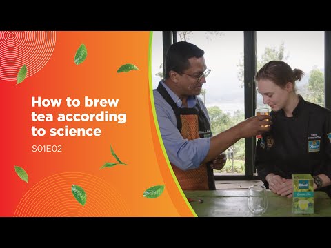 How to brew the perfect cup of tea in 3 minutes, according to science – S01E02