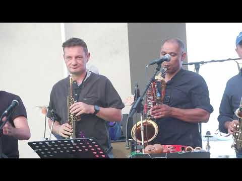 Funky Twister - isn’t she lovely - S. Wonder