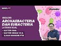 Latihan Soal Biologi: Memahami Archaebacteria dan Eubacteria