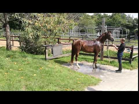 Leonardo von Livaldon