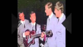 WALK  HAND  IN  HAND      Gerry and the Pacemakers   ( Cover  Version )