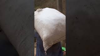 He carries 65kg stones daily to earn a miserable hundred dollars a month.