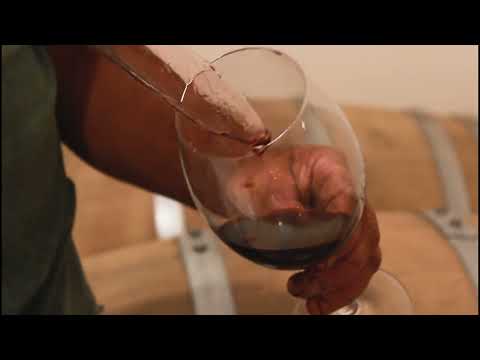 Vinos Puerta Oeste, Senillosa | Producción vitivinícola en Neuquén – Patagonia Argentina